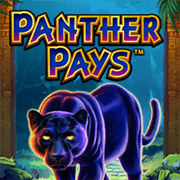 Báo Đen Phát Tài game cover